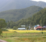 明川集落